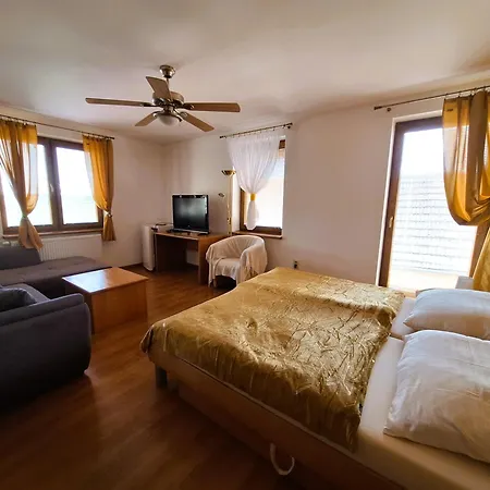Agnes Guest house *