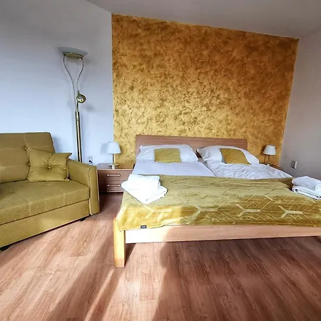 Agnes Gasthuis 4*